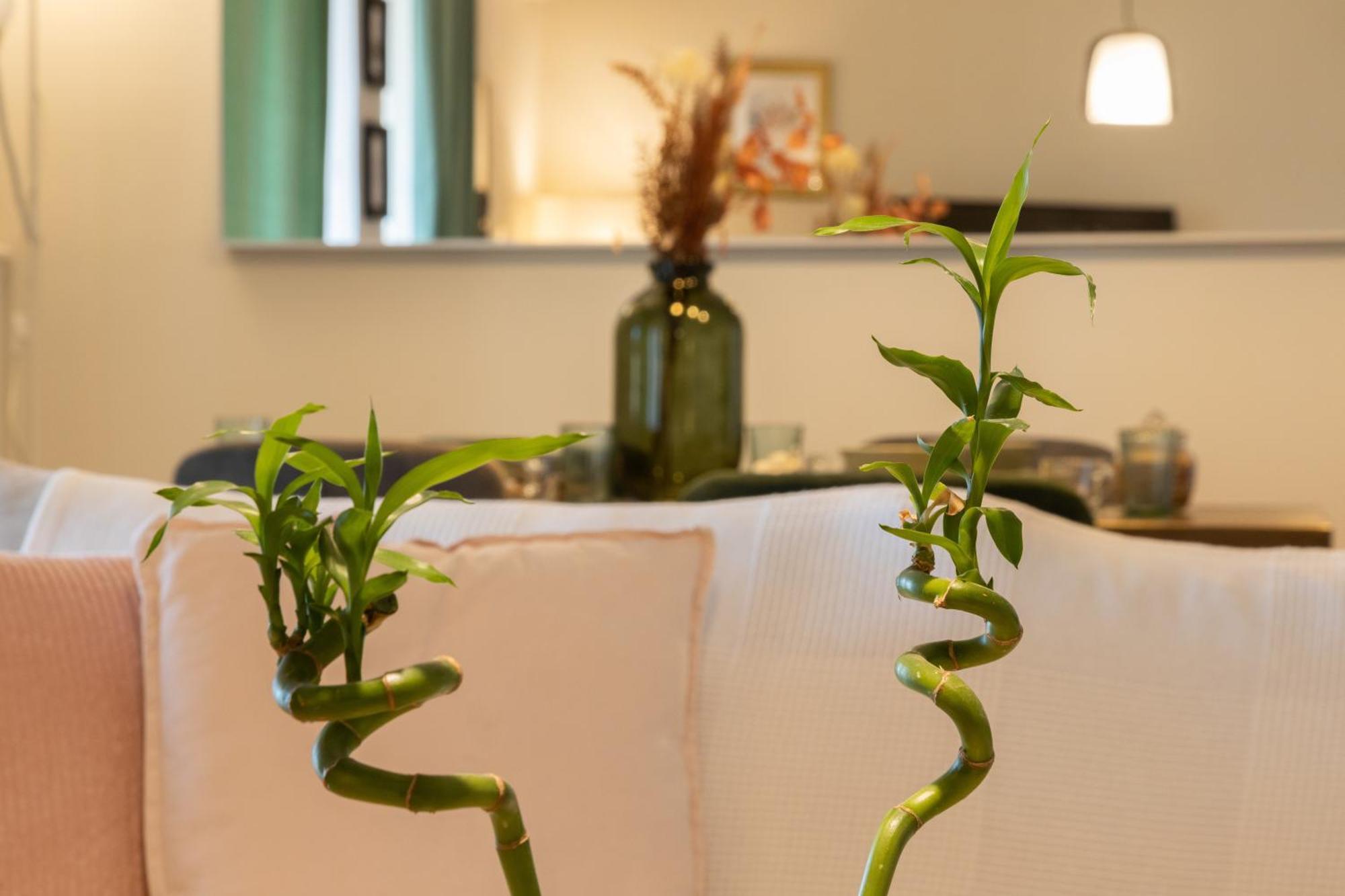 Glyfada Golf Fourth Floor Apartment 雅典 外观 照片